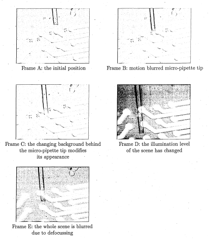 Figure 3.4: Problem atic frames from the micro-pipette sequence.