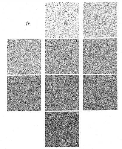 Figure 6.14: Appearance of the first image of the hand shape tracking sequence fordifferent noise levels. In percentage of image noise: 0, 4, 10, 16, 22, 28, 34, 40, 46 and 50% respectively